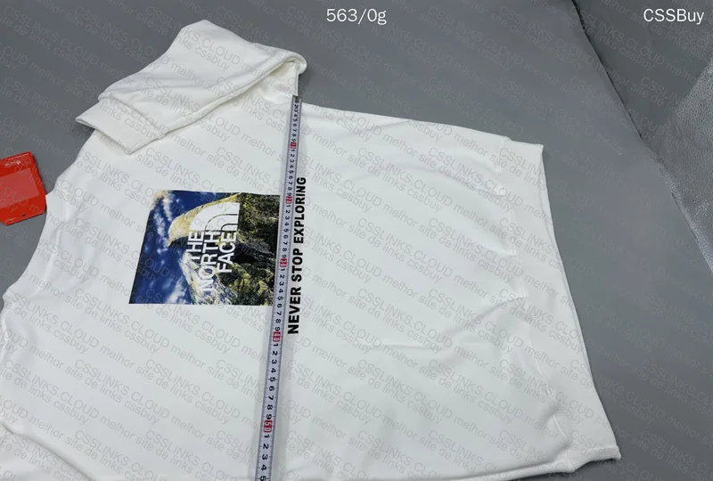 The North Face Hoodie (gl?) 9