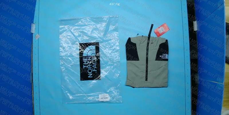 The North Face Mocha Hoodie 2