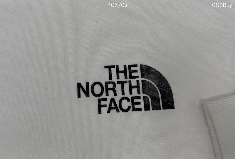 The North Face 'First Purchase' Hoodie 2