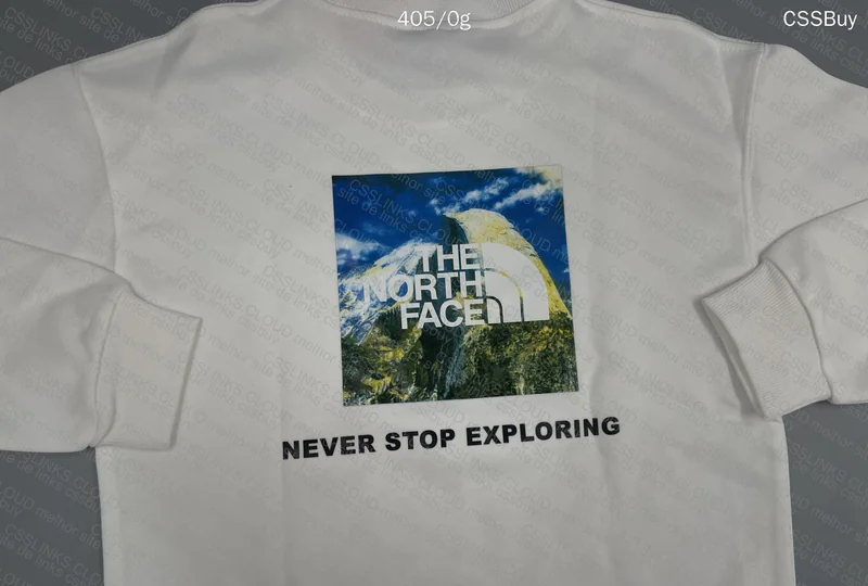 The North Face 'First Purchase' Hoodie 6