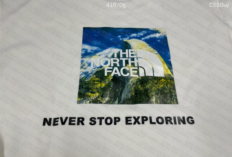 TNF Hoodie GL? 5