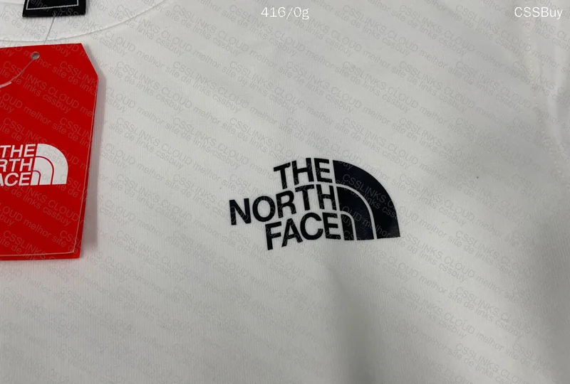 TNF Hoodie GL? 6