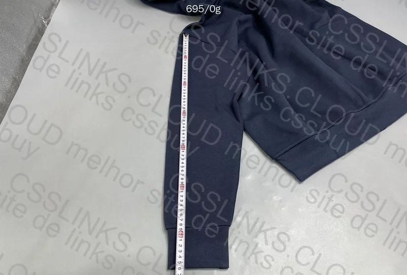 Blue Ralph Lauren Zip-Up Hoodie (RepKingdom) 11