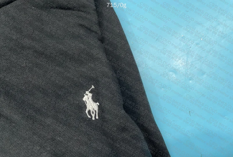 Ralph Lauren Zipper Hoodie 2