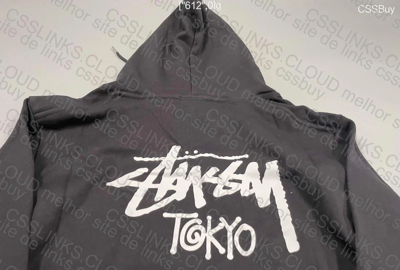 Stüssy Tokyo Hoodie