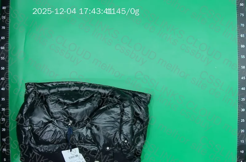 Moncler Down Jacket (puffer)