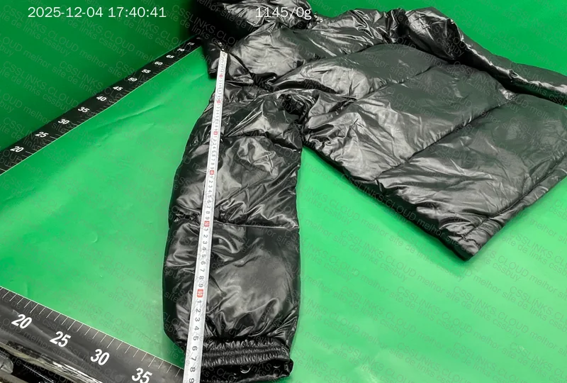 Moncler Down Jacket (puffer) 10