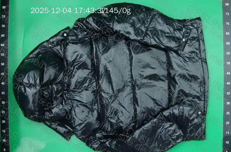 Moncler Down Jacket (puffer) 2