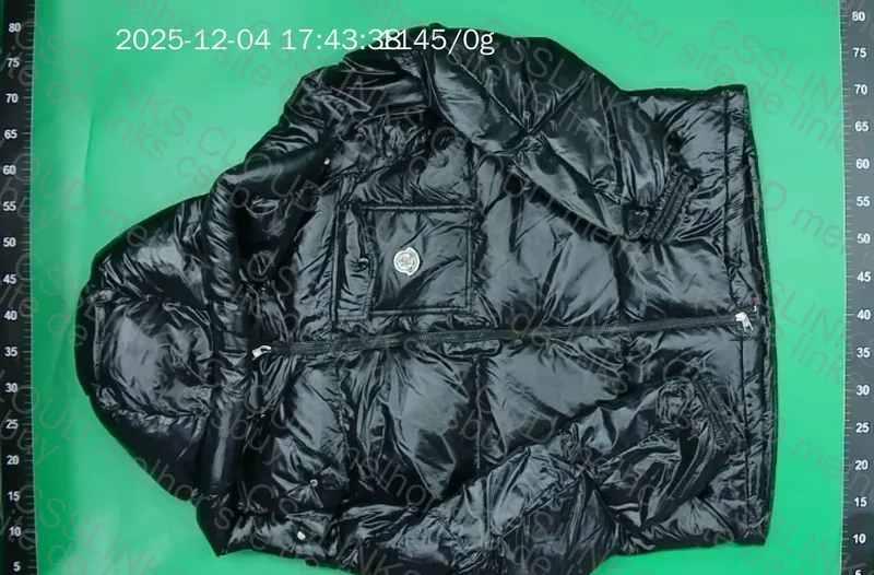 Moncler Down Jacket (puffer) 3