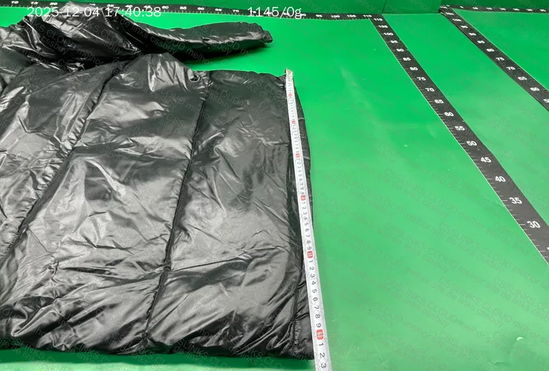 Moncler Down Jacket (puffer) 5