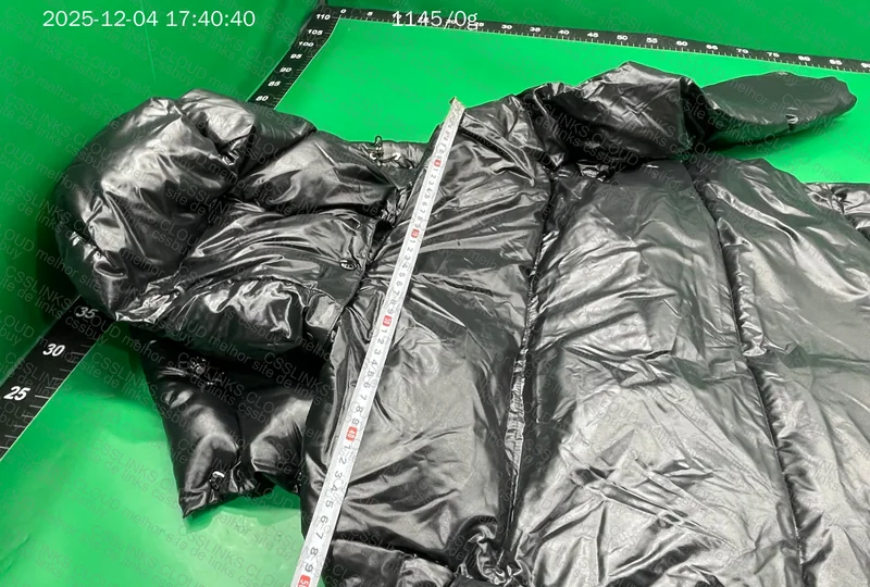Moncler Down Jacket (puffer) 7