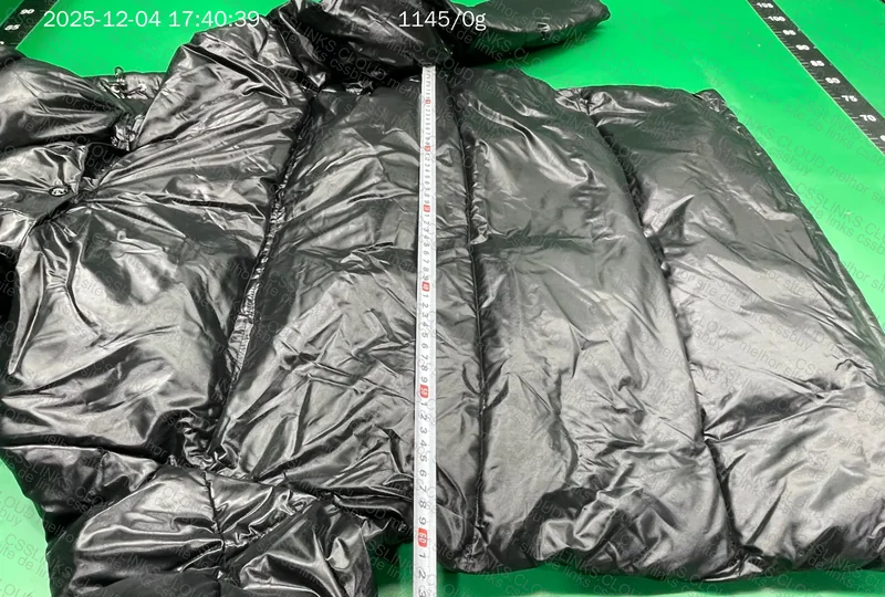 Moncler Down Jacket (puffer) 8