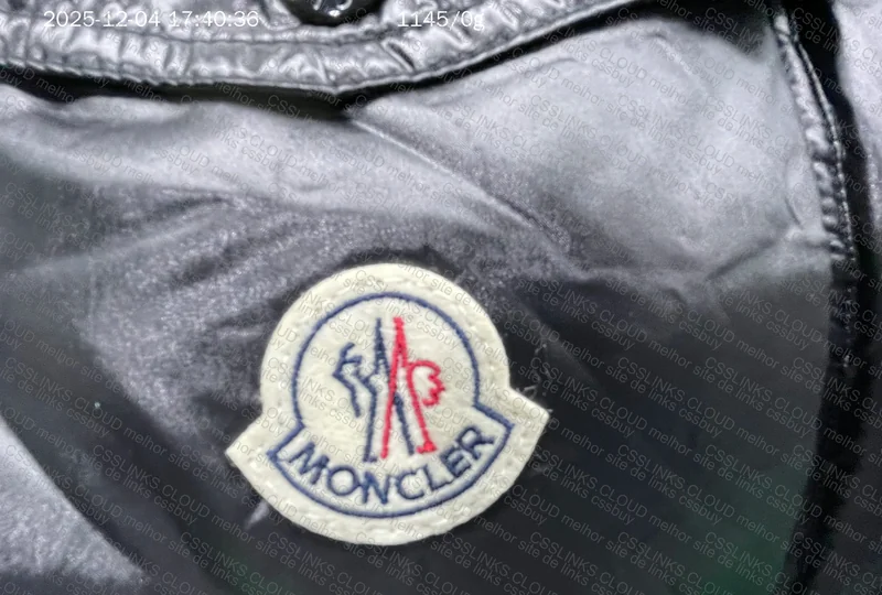 Moncler Down Jacket (puffer) 9