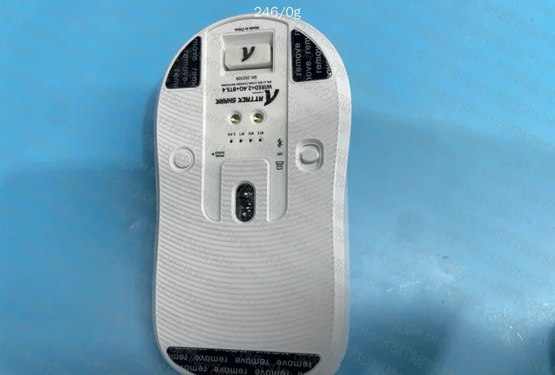 Mouse attack shark 4