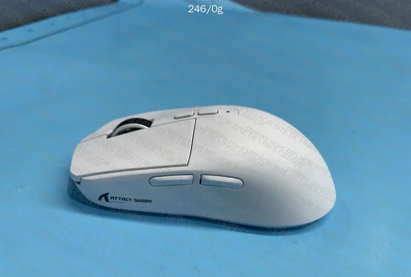 Mouse attack shark 7