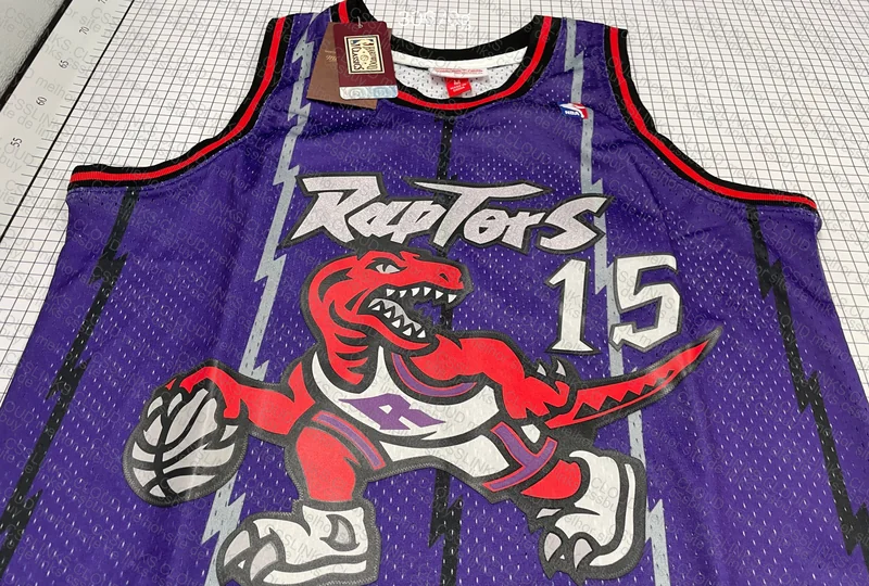 NBA mitchell and ness Vinsanity 2