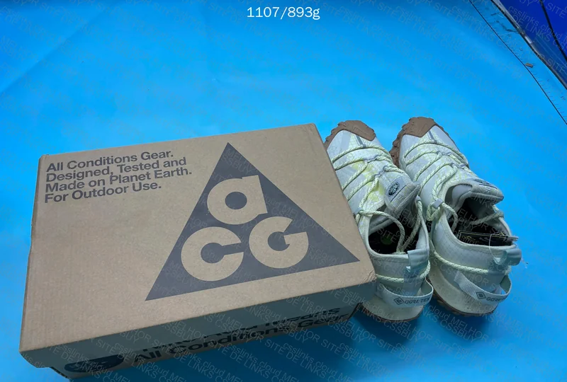 Nike Acg mountain fly gtx se 6