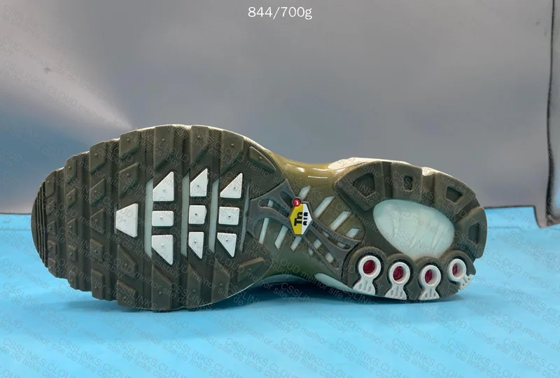 Nike Air Max Plus 6