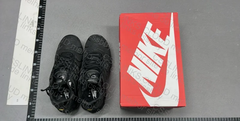 NIKE Air Max Plus 4