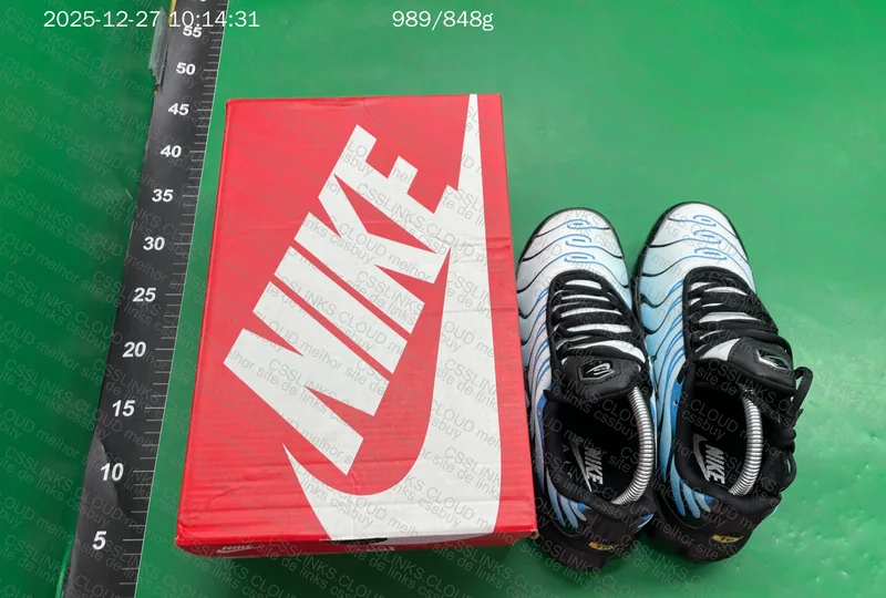 Nike Air Max Plus Neptune Blue