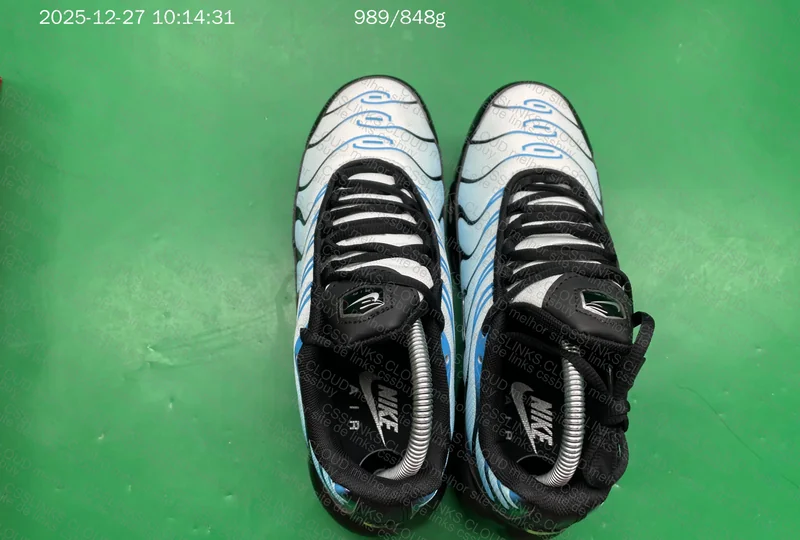 Nike Air Max Plus Neptune Blue 2