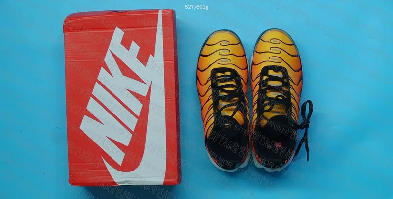 Nike Air Max Plus Sunset (Nike TN) 2