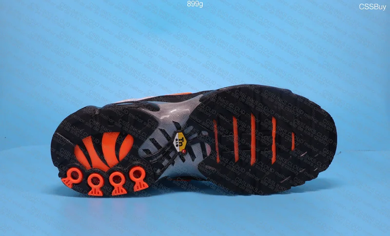 Nike Air Max Plus (TN) 5