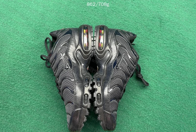 NIKE AIR MAX PLUS TN 2