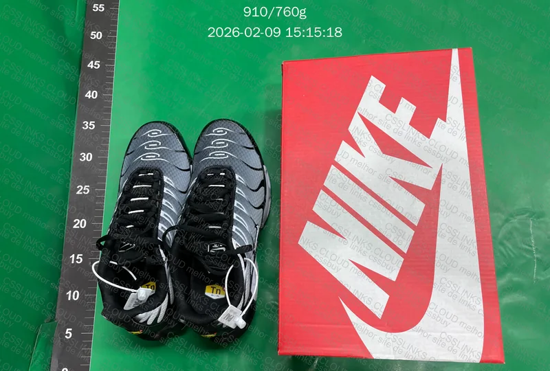Nike Air Max Plus TN 2