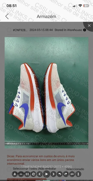 Nike Air Zoom Pegasus