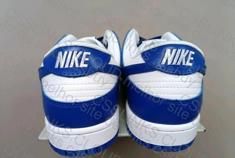 Nike Dunk Blue New VT