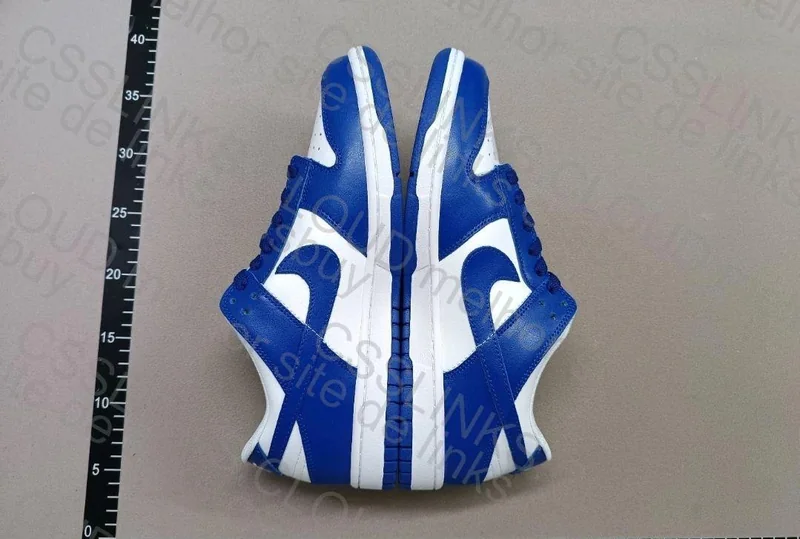 Nike Dunk Blue New VT 2