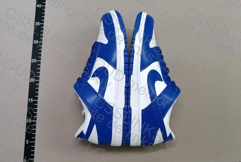 Nike Dunk Blue New VT 3