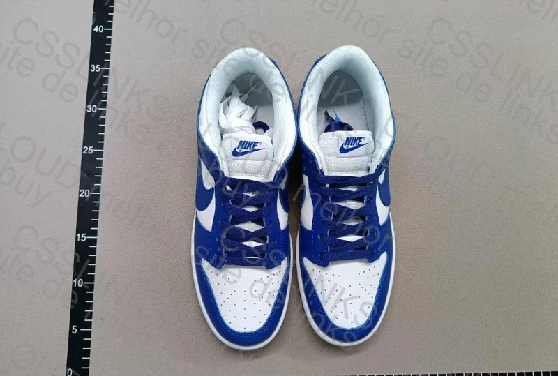Nike Dunk Blue New VT 4