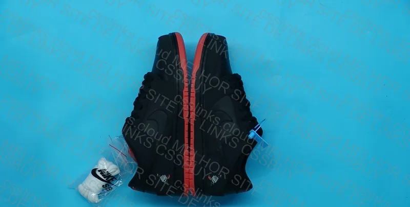 Nike Dunk Black Pigeon 2