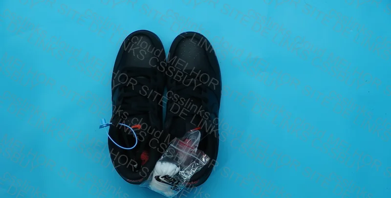 Nike Dunk Black Pigeon 3