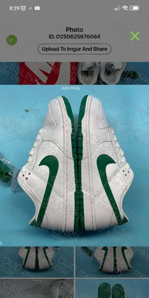Nike Dunk (BLIND BOX) 5