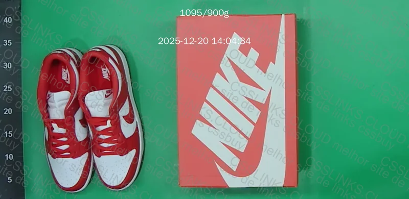 Nike Dunk (Blind Box) 5