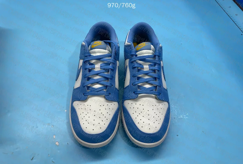 Nike Dunk Blue 3
