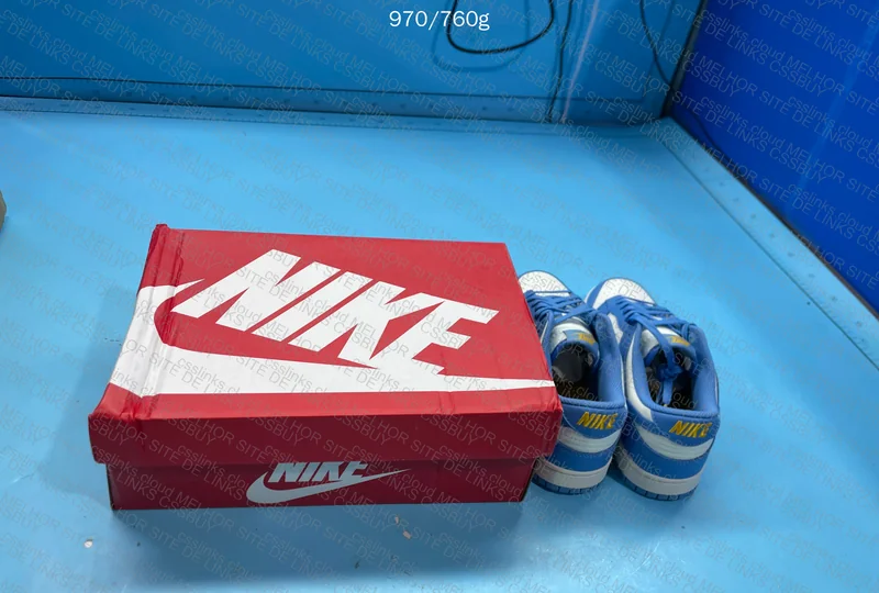 Nike Dunk Blue 5