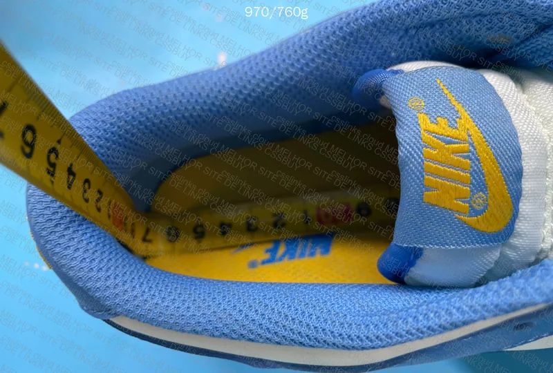 Nike Dunk Blue 6
