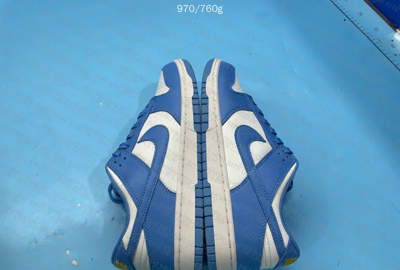 Nike Dunk Blue 7