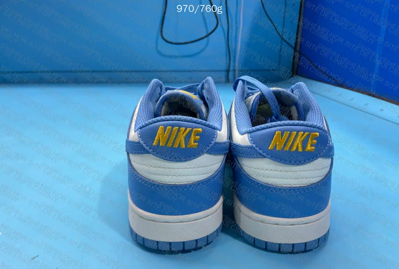 Nike Dunk Blue 8