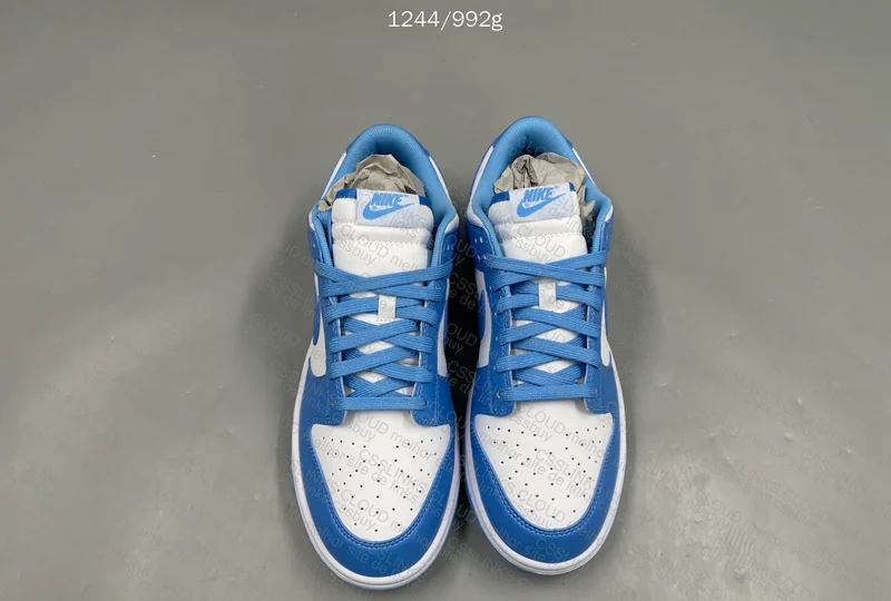 NIKE DUNK BLUE LOW RETRO