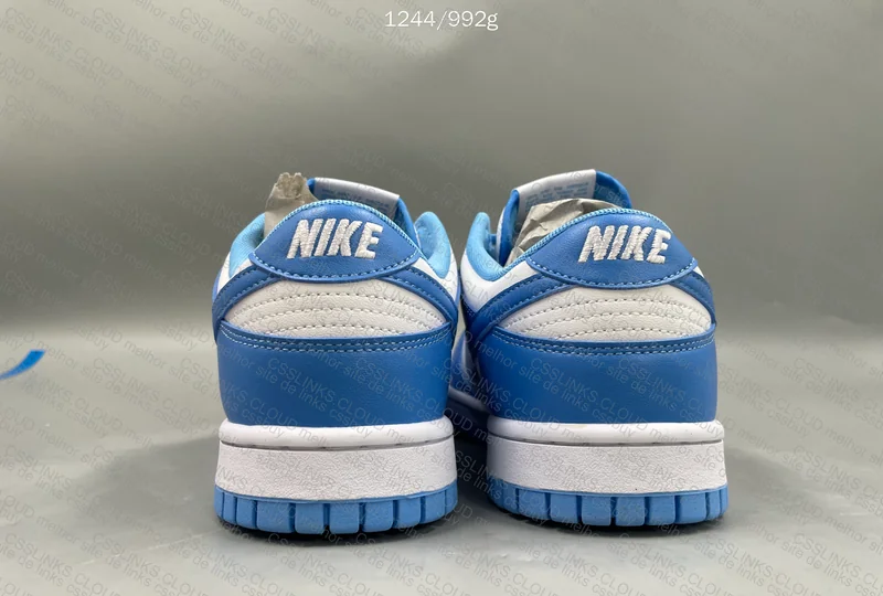 NIKE DUNK BLUE LOW RETRO 2