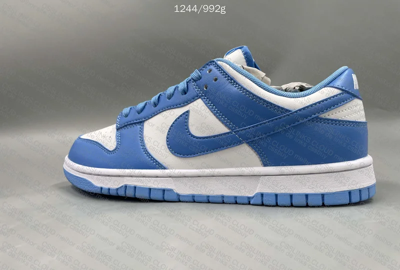 NIKE DUNK BLUE LOW RETRO 5