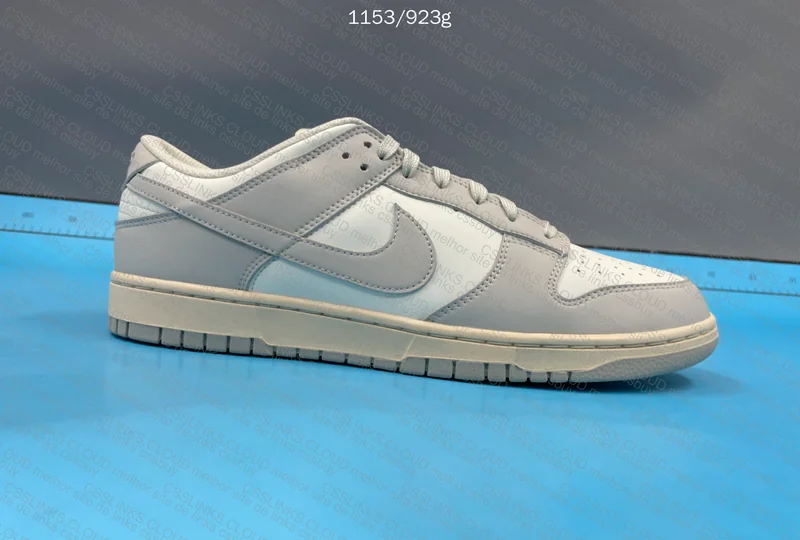Nike Dunk Bone 5