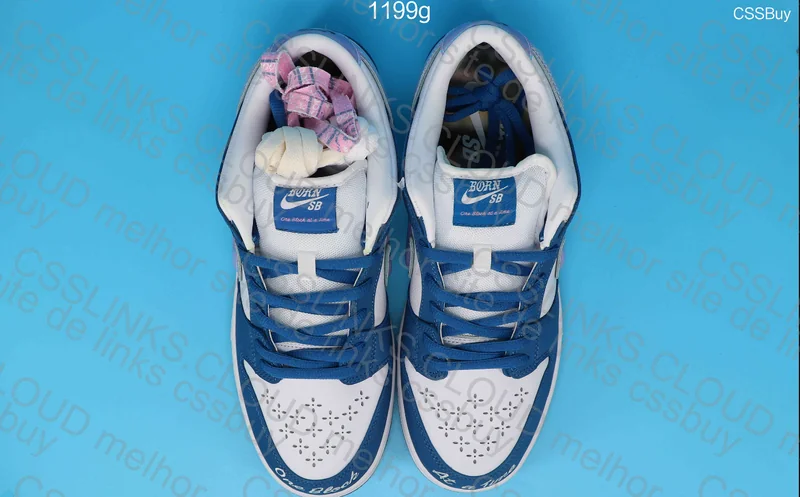 Nike Dunk Born 4