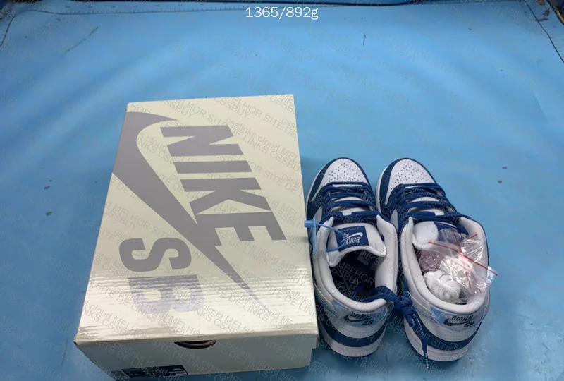 NIKE DUNK BORN RISED