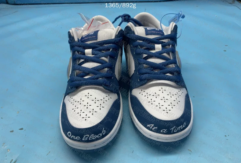 NIKE DUNK BORN RISED 3
